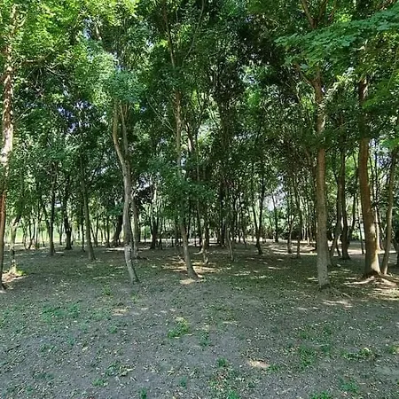 Apartament Mala Bara